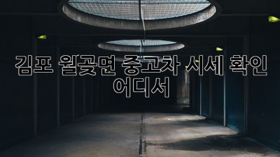 김포 월곶면 중고차 시세 확인, 어디서?