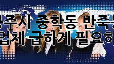 공주시 중학동, 반죽동 청소업체 급하게 필요하세요?