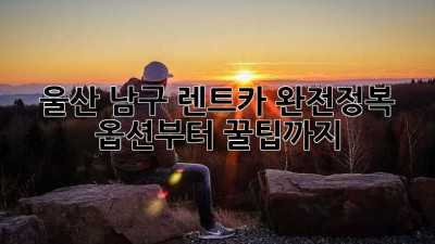 울산 남구 렌트카 완전정복! 🚗💨 옵션부터 꿀팁까지