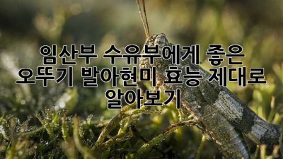 임산부, 수유부에게 좋은 오뚜기 발아현미 효능 제대로 알아보기